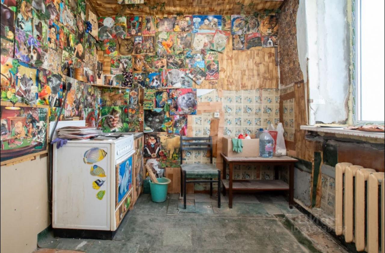 Арт или шиза?