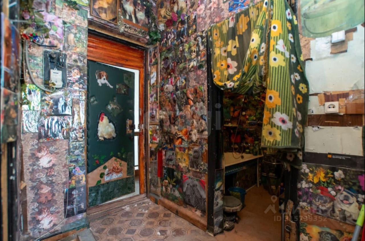 Арт или шиза?