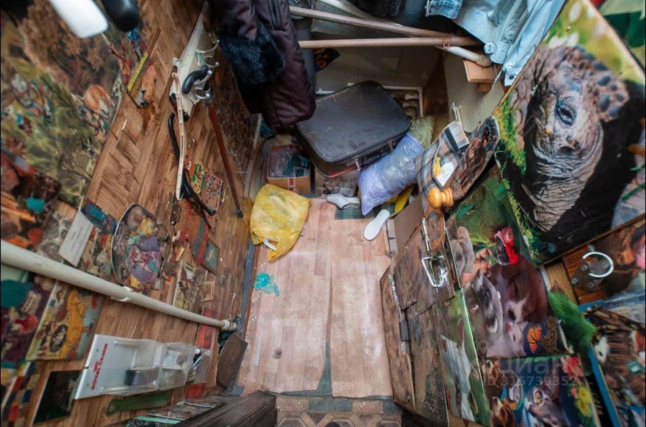 Арт или шиза?