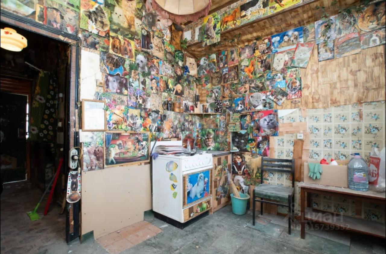 Арт или шиза?