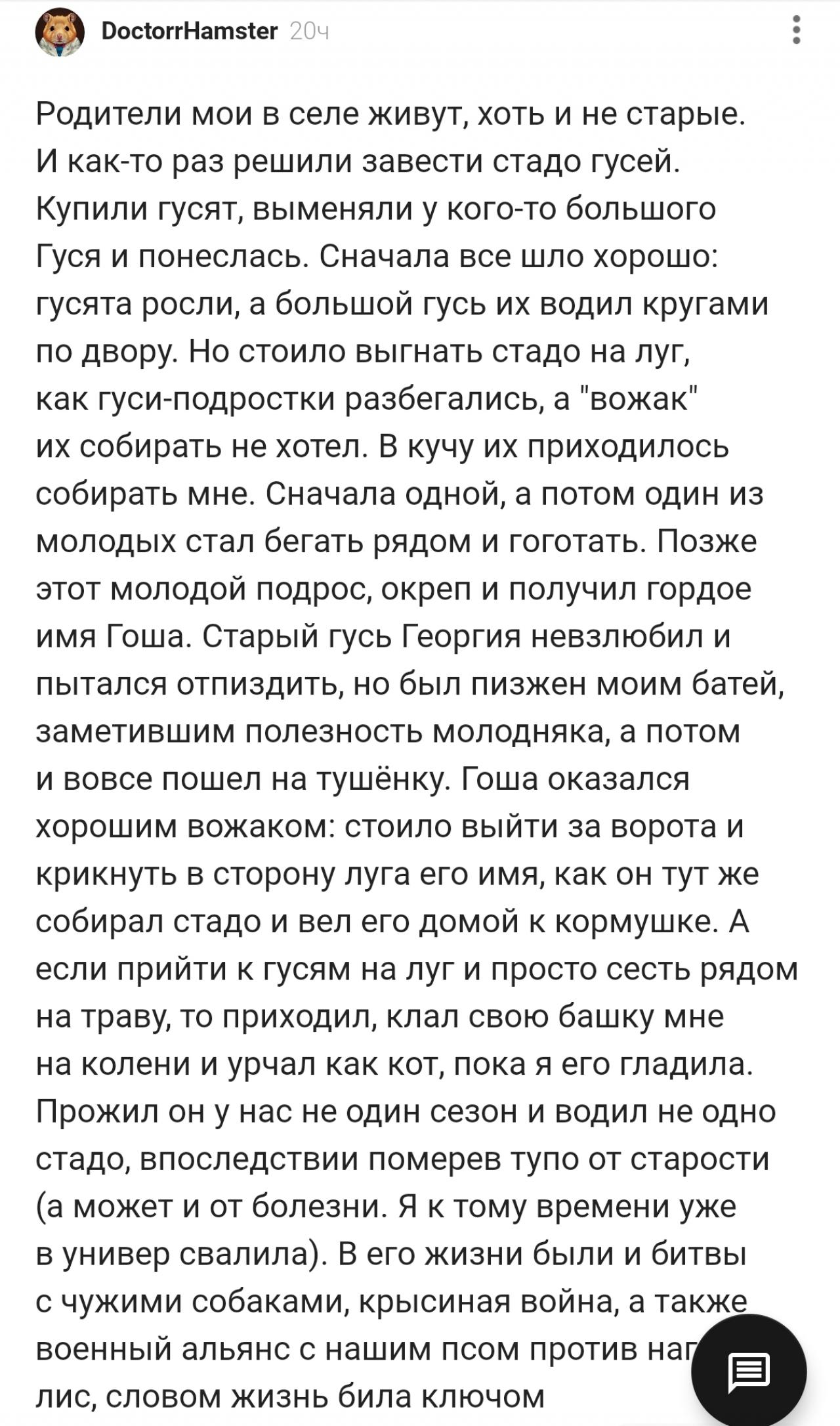 Гусь Гоша
