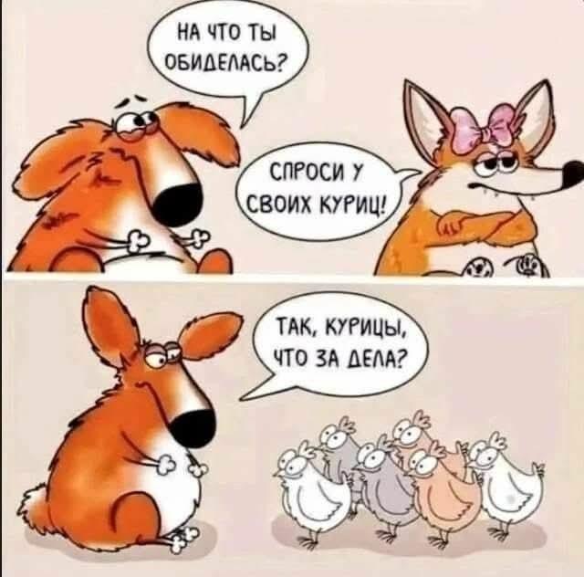 Веселые картинки