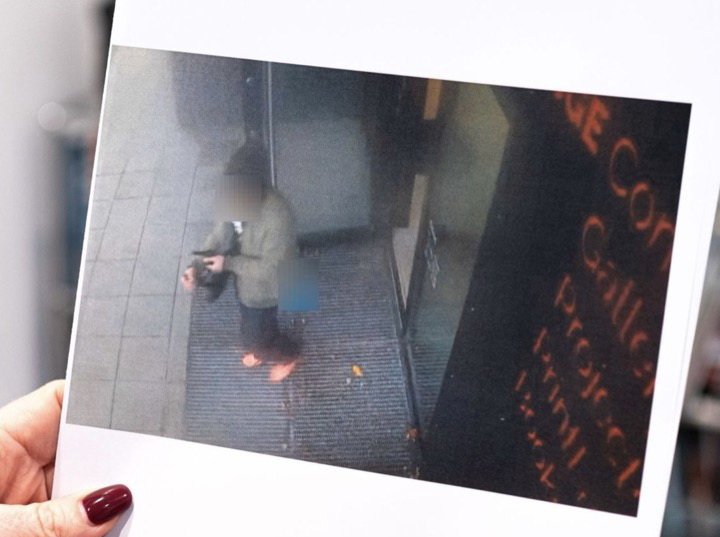 В Норвегии украли арт-кабанчика