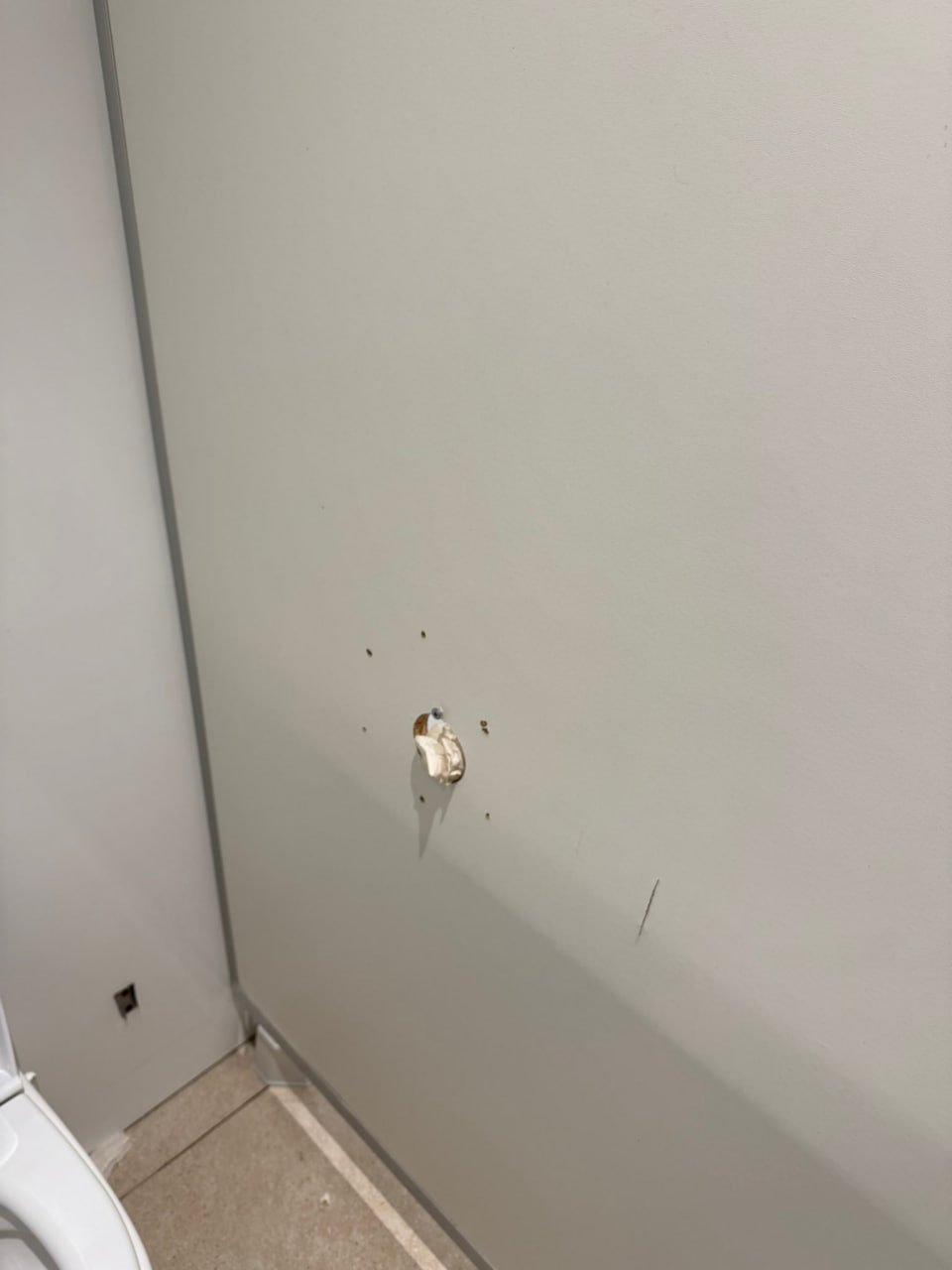 Смешная история о борьбе за традиционные ценности или как в московском ТЦ боролись с глорихолом в туалете.