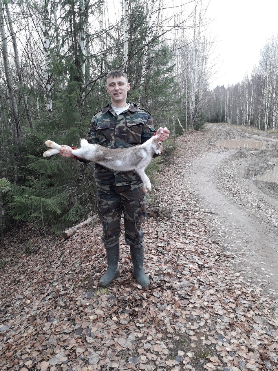 Про бедного зайчика...