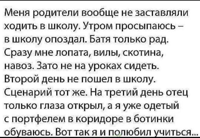 Веселые картинки