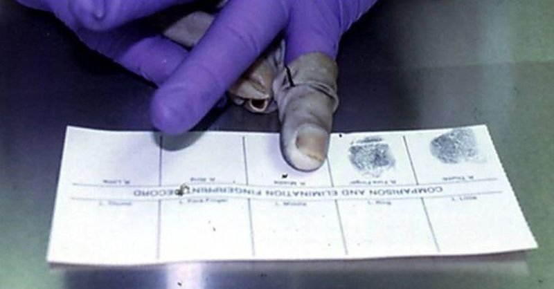 Находка дня: «перчатки смерти»