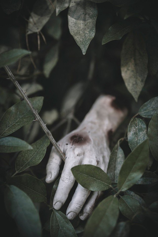 Мрачновато будет