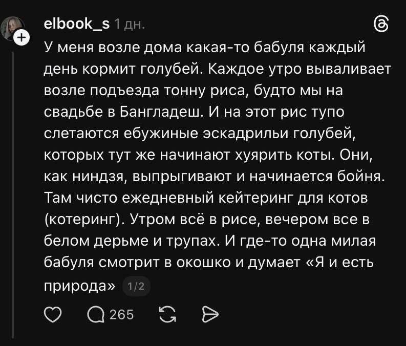 На самом деле бабушка кормит котиков
