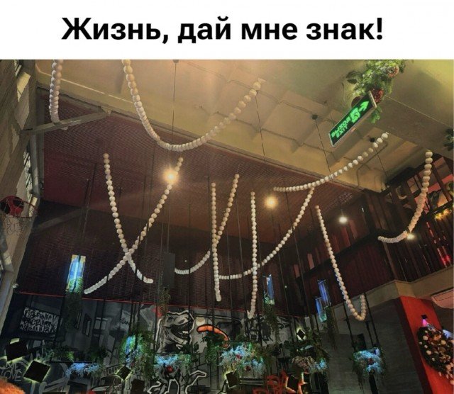 Веселые картинки