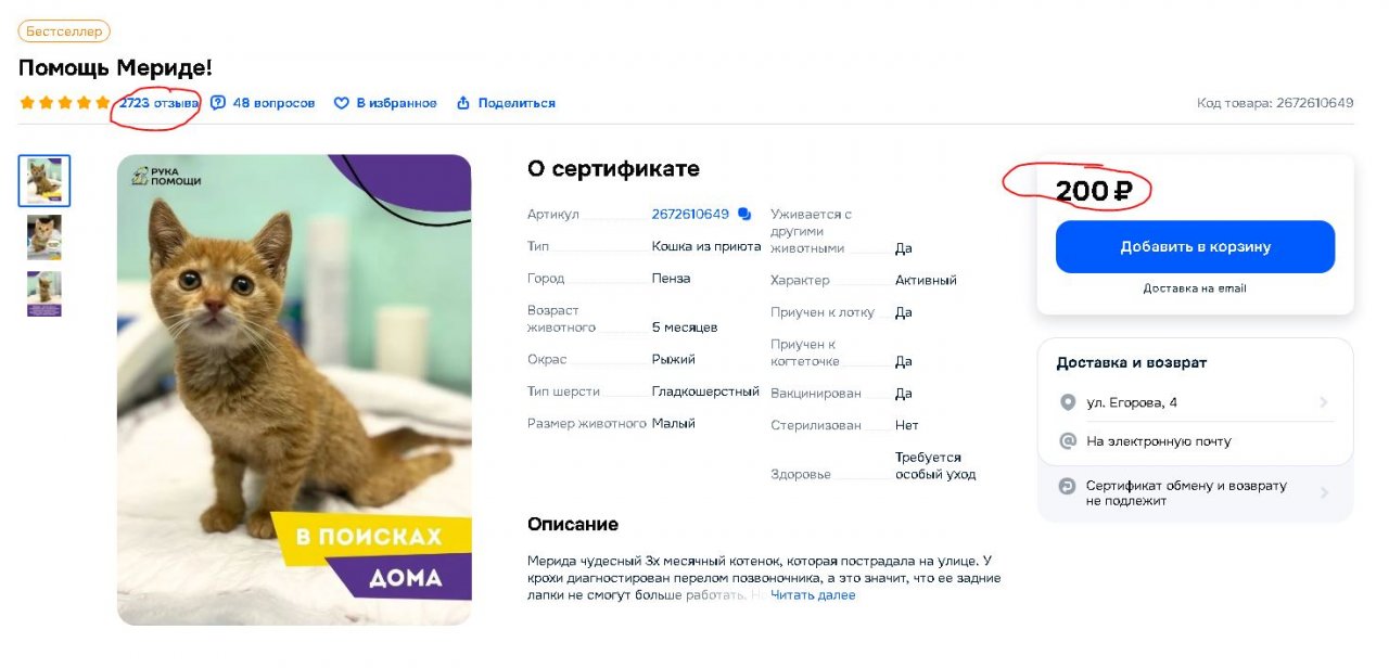 Как легко зарабатывать на Озоне