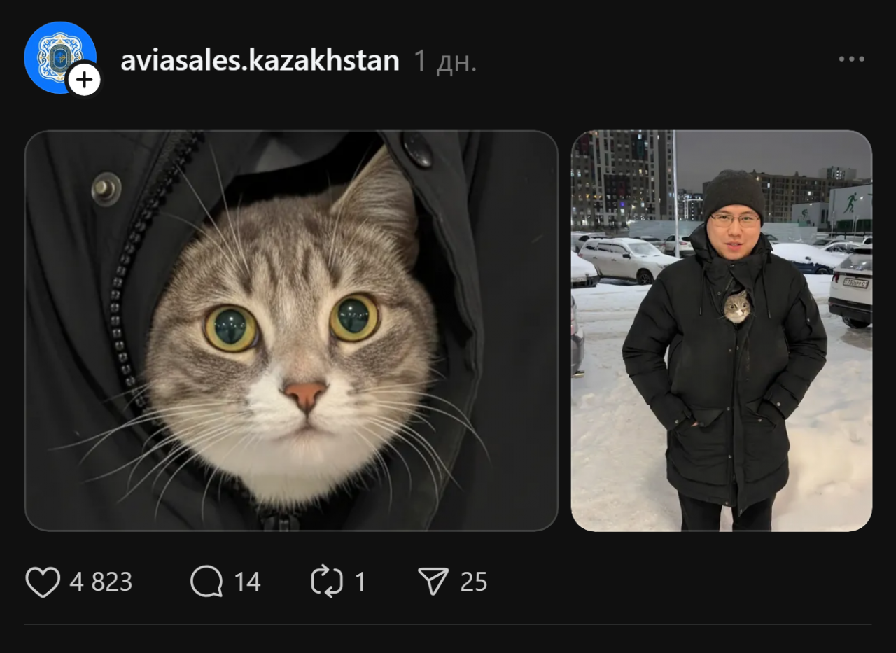 Кто на чём ездит