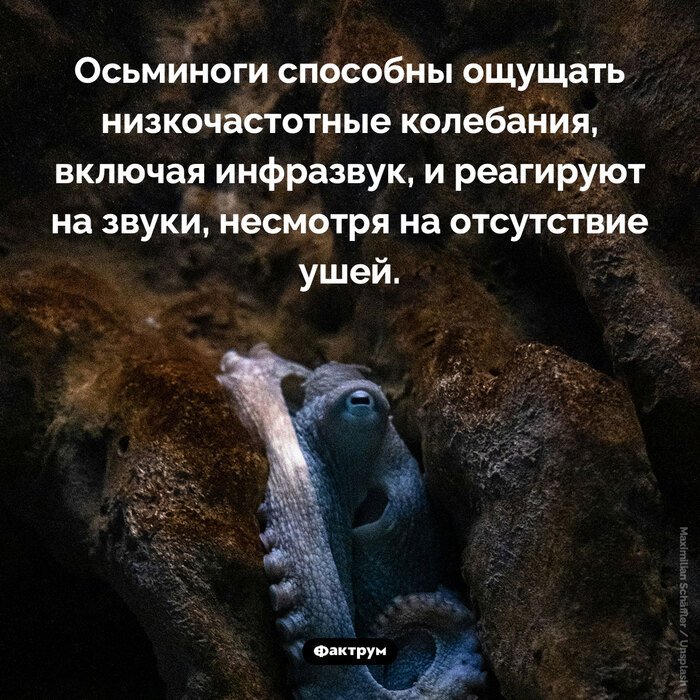 Подборка интересных фактов