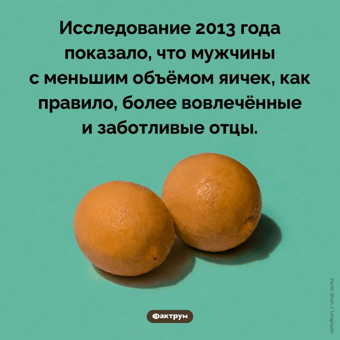 Подборка интересных фактов