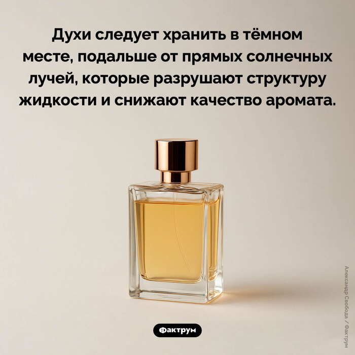 Подборка интересных фактов