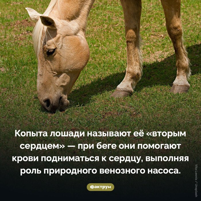 Подборка интересных фактов