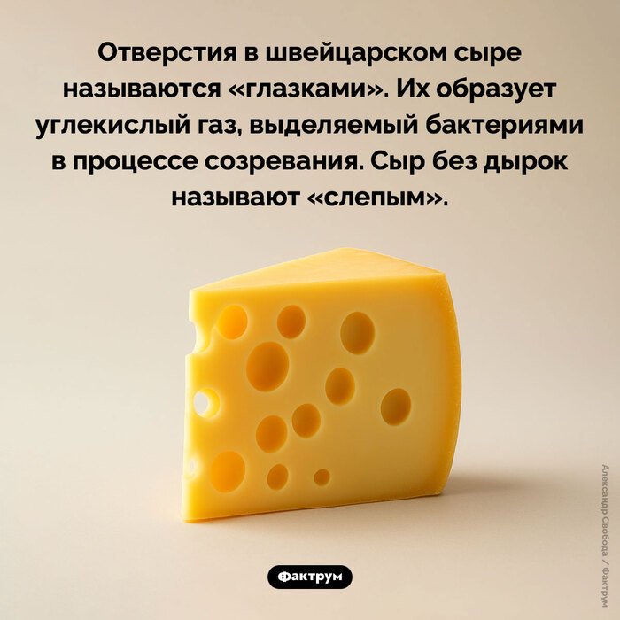 Подборка интересных фактов