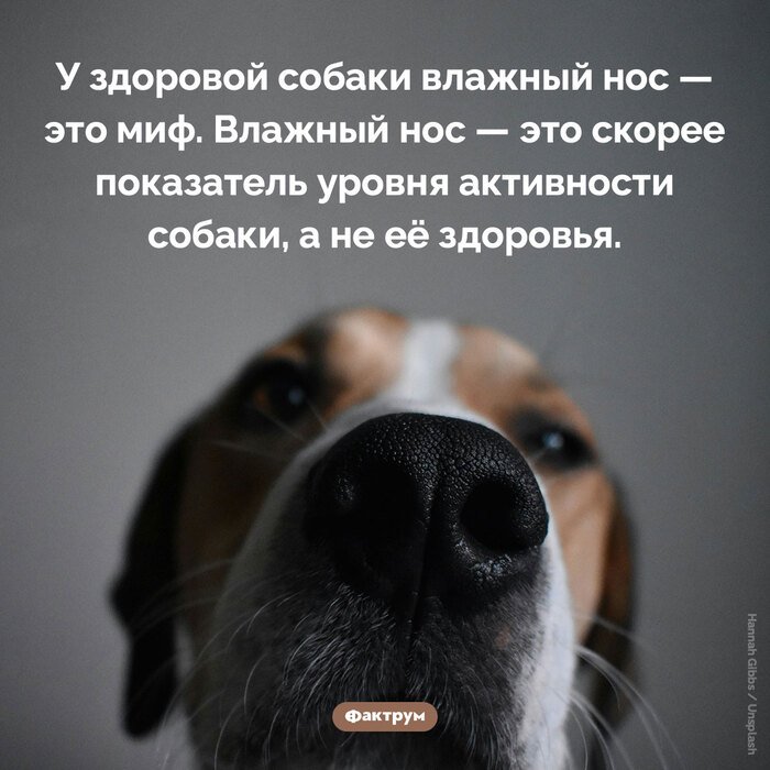 Подборка интересных фактов