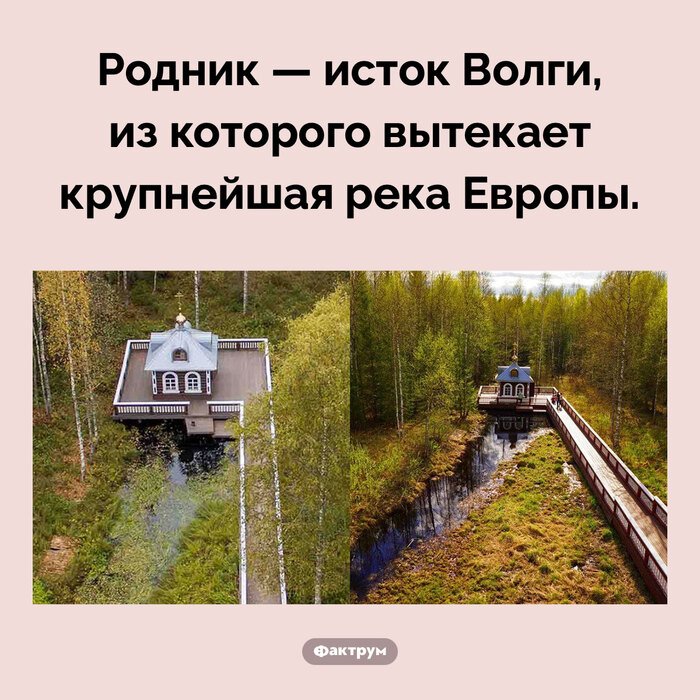 Подборка интересных фактов