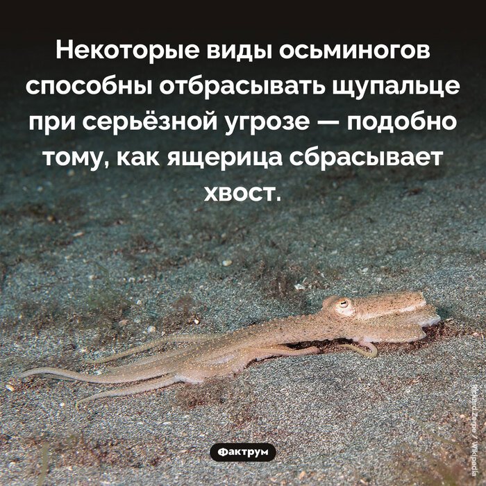 Подборка интересных фактов