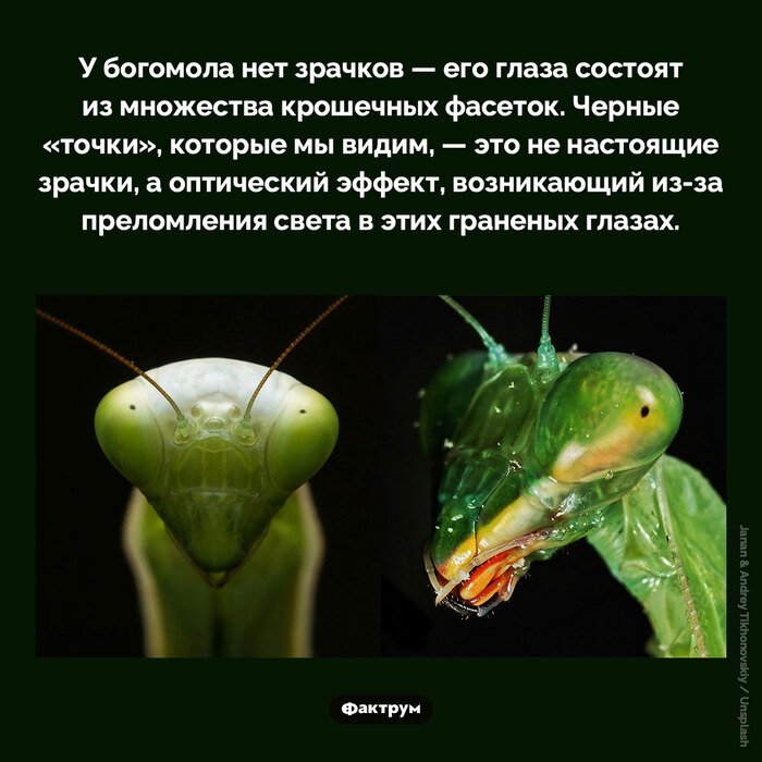 Подборка интересных фактов