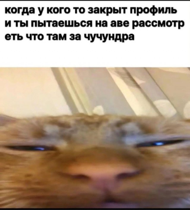 Веселые картинки