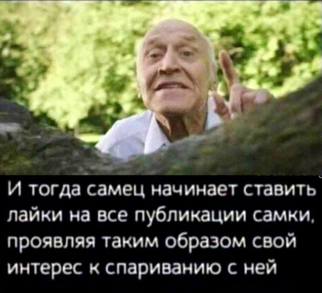 Веселые картинки