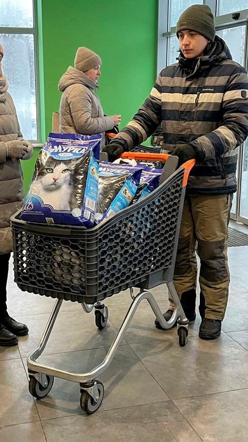 В Киеве начали массово скупать наполнитель для кошачьих лотков - лучше так, чем просто в таз...