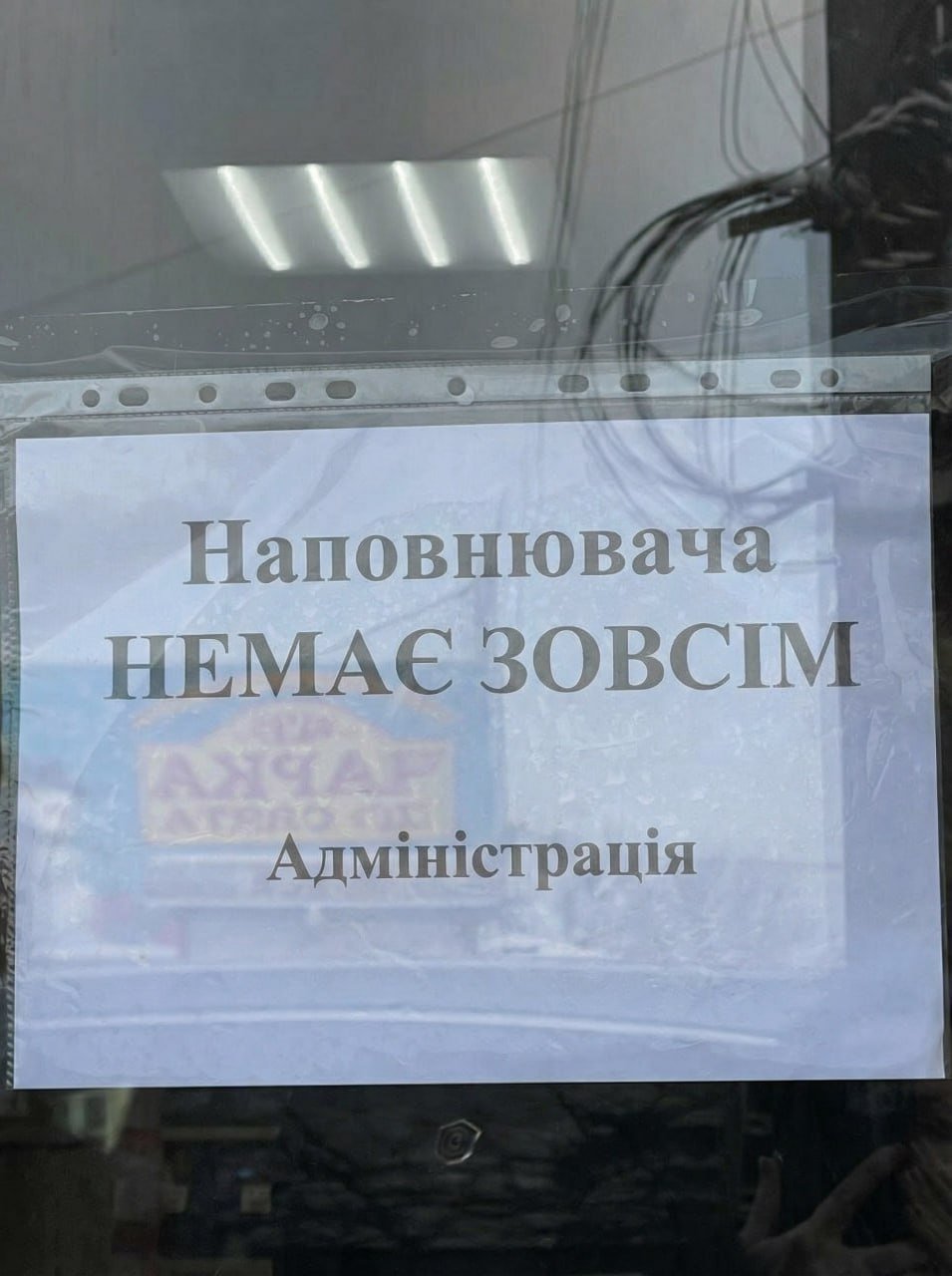 В Киеве начали массово скупать наполнитель для кошачьих лотков - лучше так, чем просто в таз...