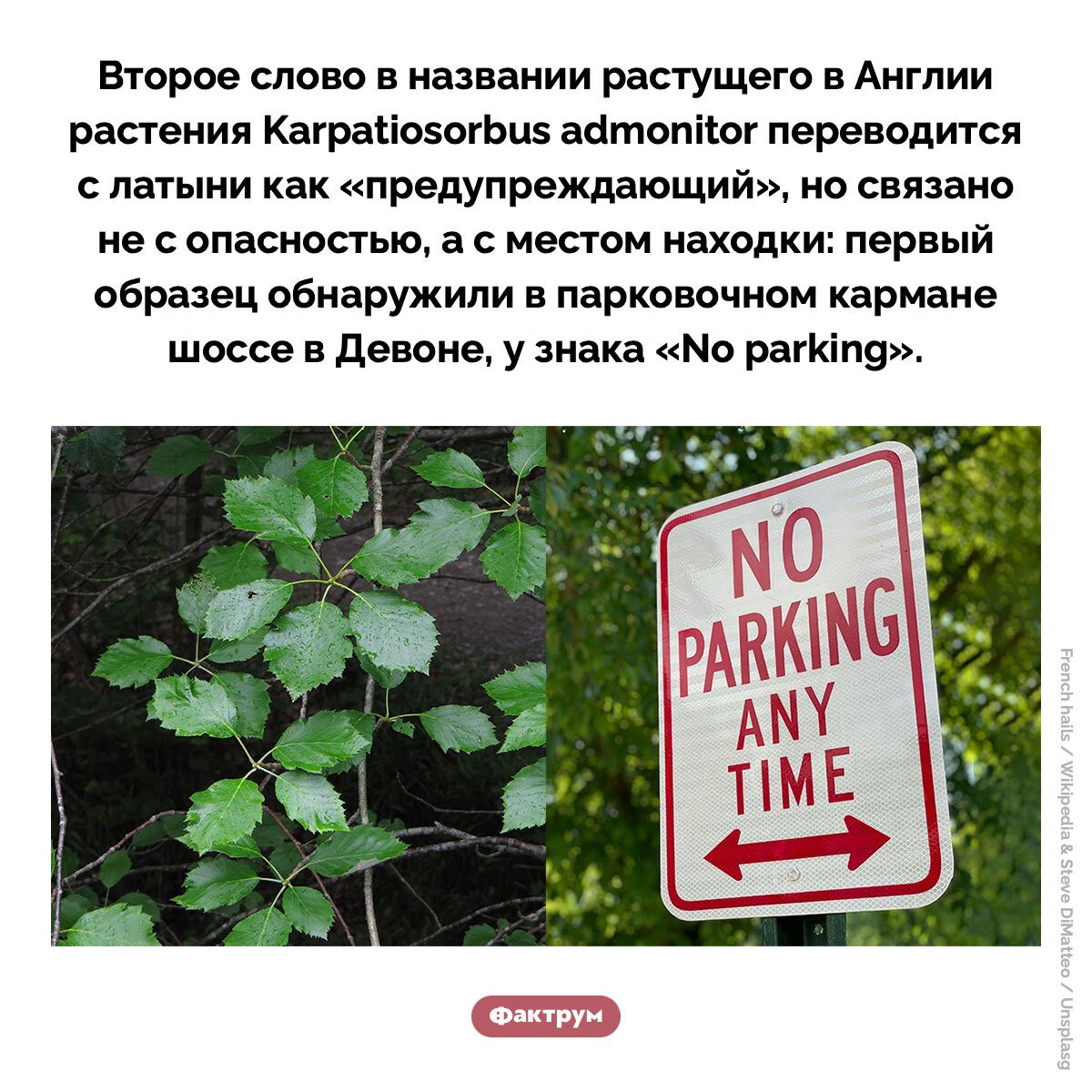 Подборка интересных фактов