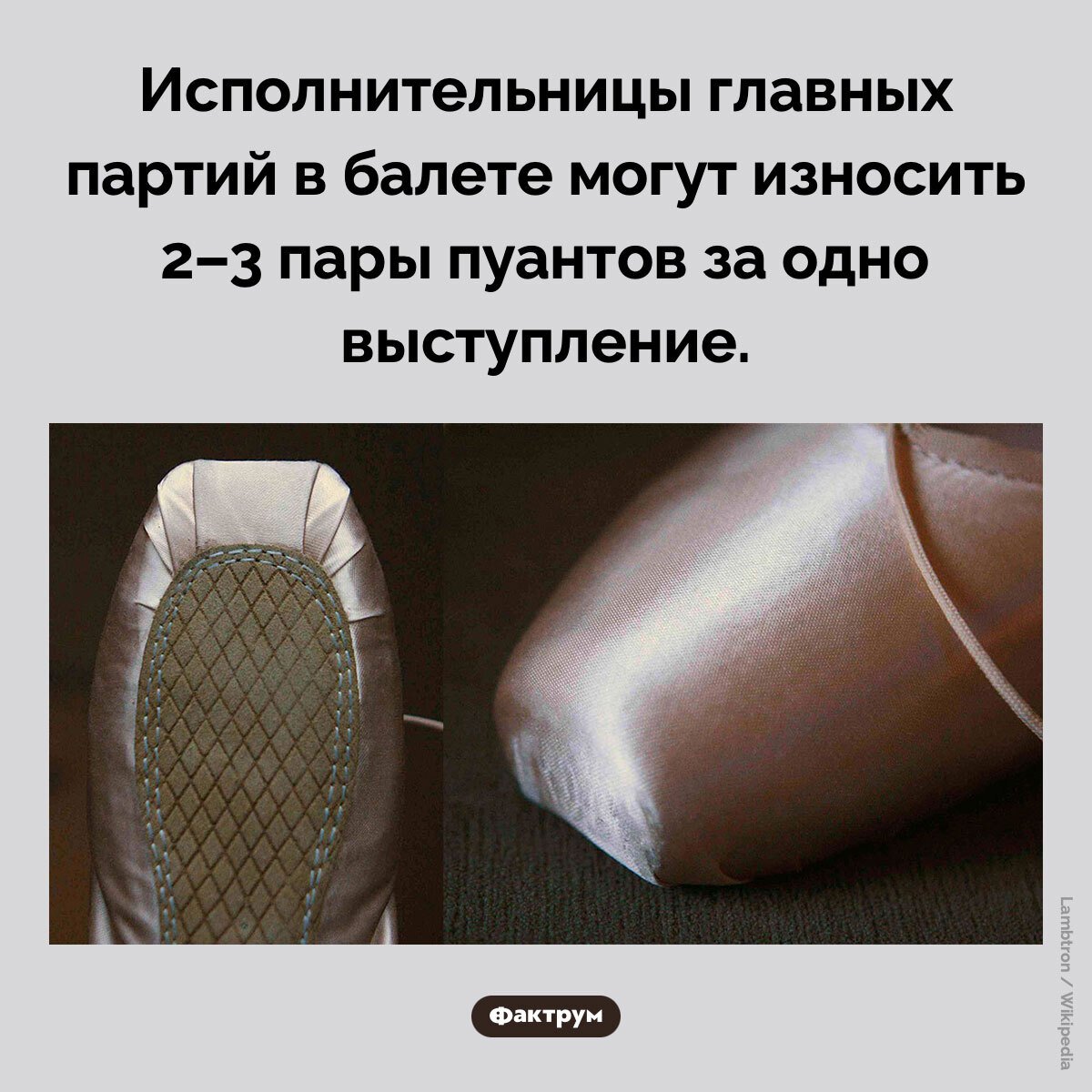 Подборка интересных фактов