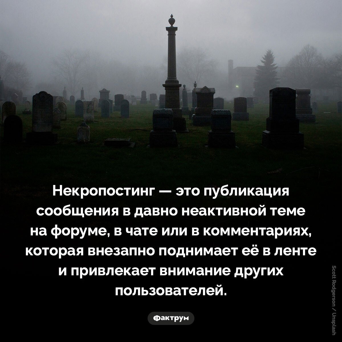 Подборка интересных фактов