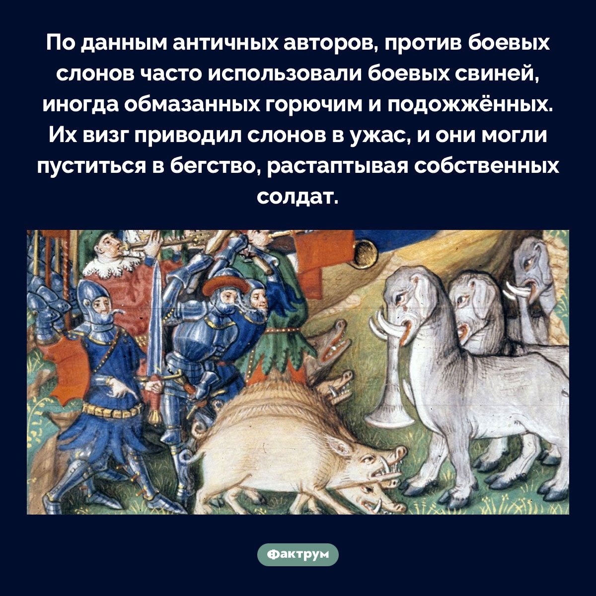 Подборка интересных фактов