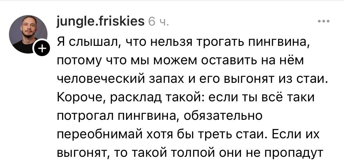 Веселые картинки