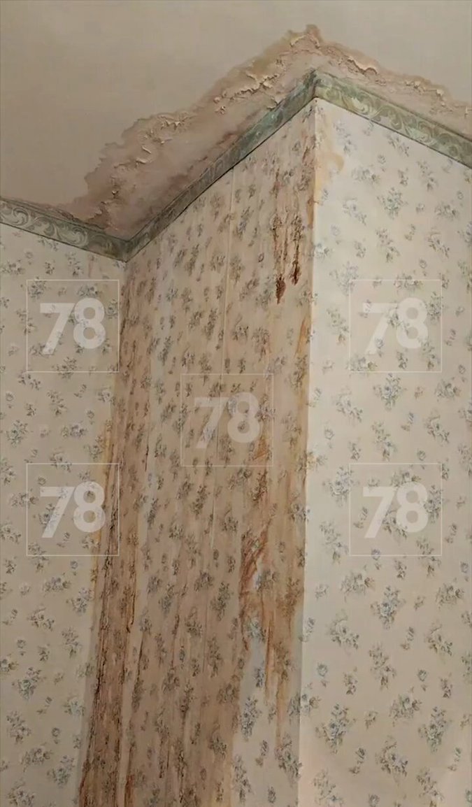 Внимание, вопрос?