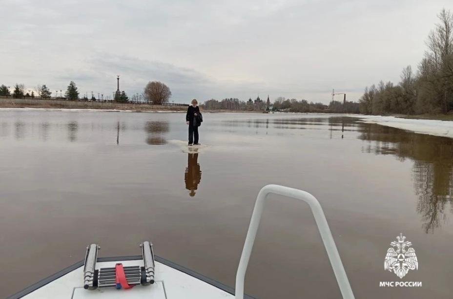 Ярославские спасатели сняли вчера мамантенка со льдины.