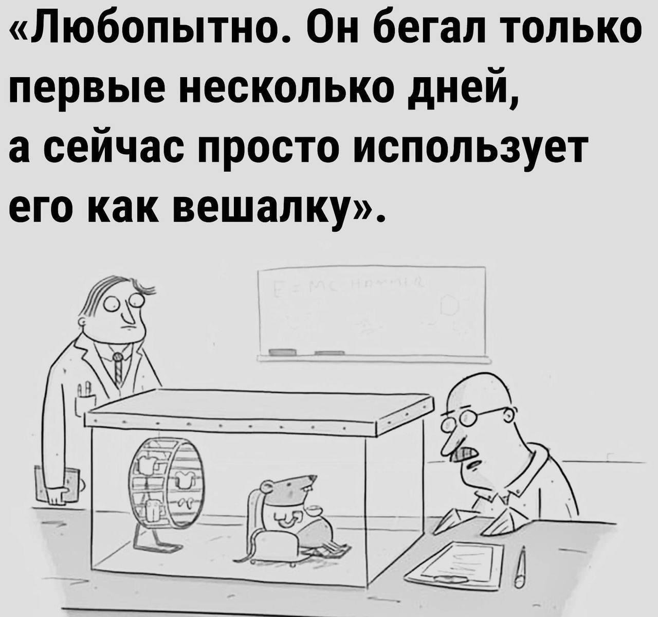 Веселые картинки 13.05