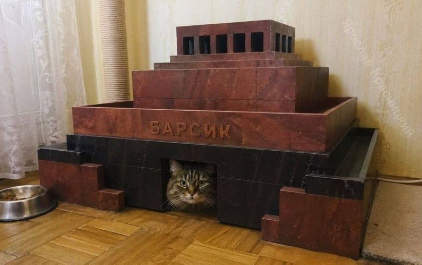 Ассорти забавных картинок