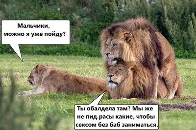 Это ЖЖЖ неспроста!