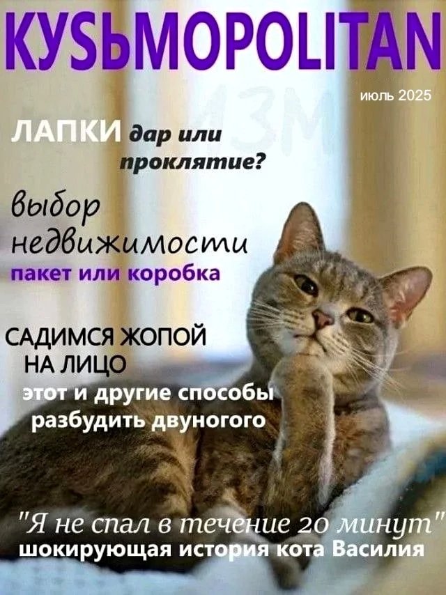 Веселые картинки 17.06