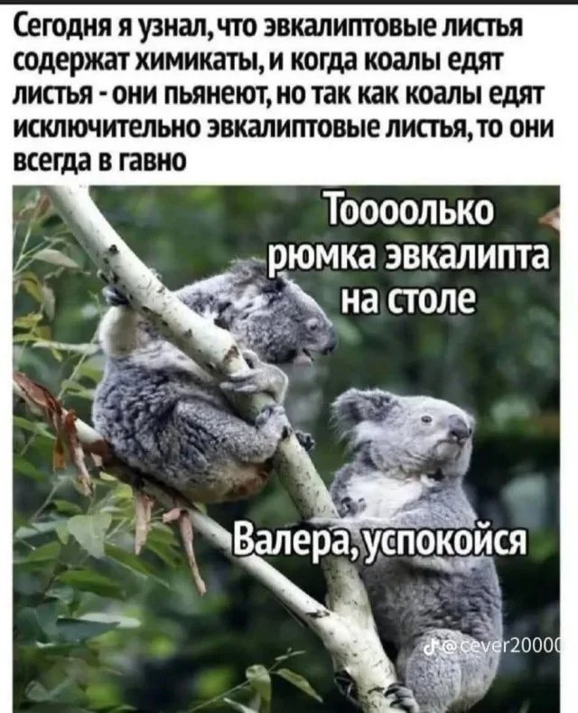 Веселые картинки 17.06