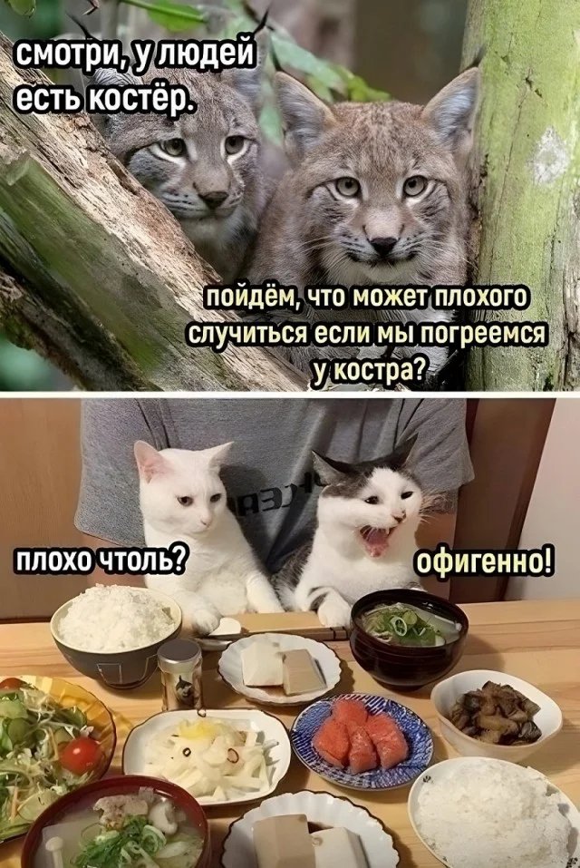 Веселые картинки 17.06
