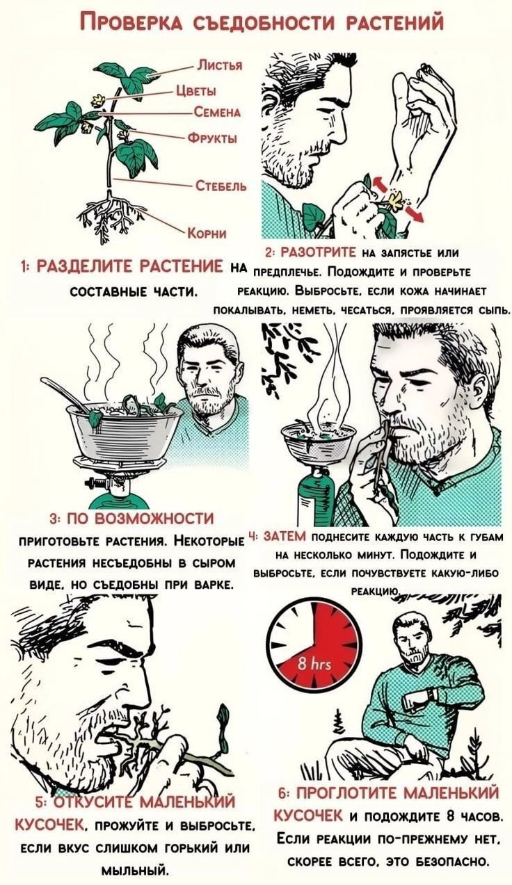 Если вы планируете загородный отпуск