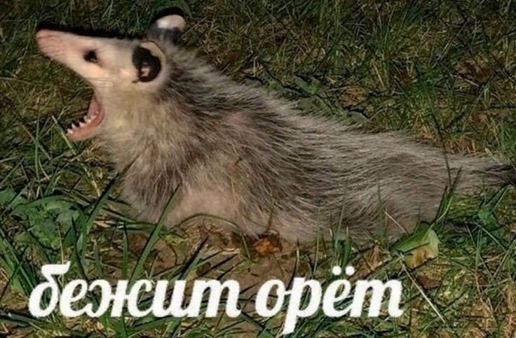 Сижу на парапете, наблюдаю за людьми.