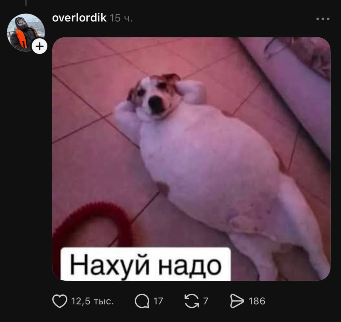 Опасно, еще приставать будет