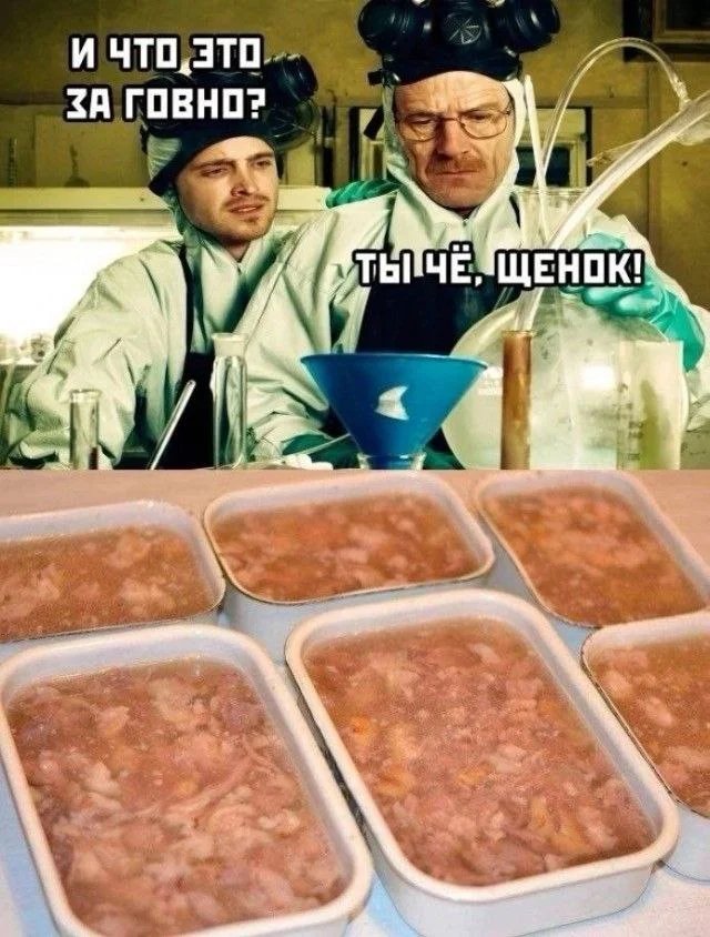 Веселые картинки 23.06