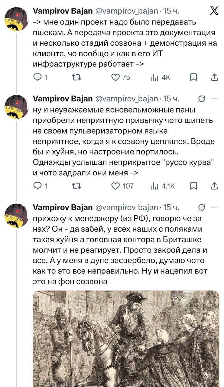 Польские курвиметры сделали из русского айтишника - настоящего слоняру.