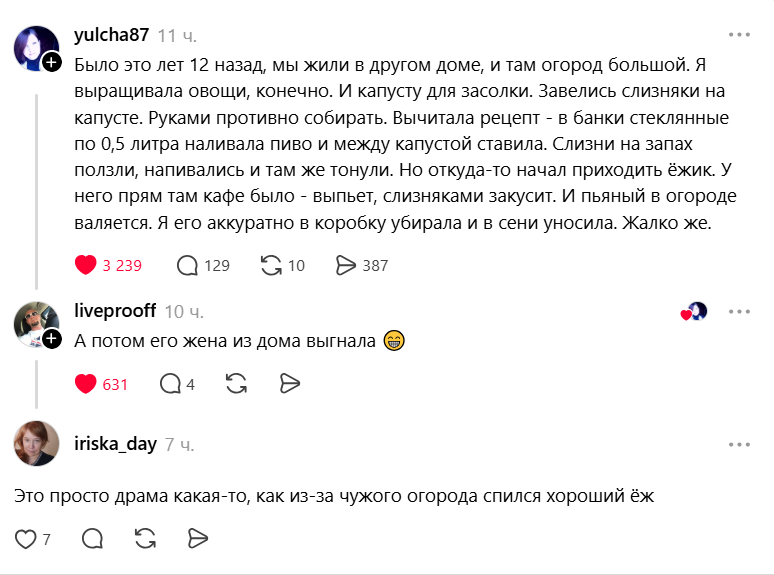 Драма в огороде