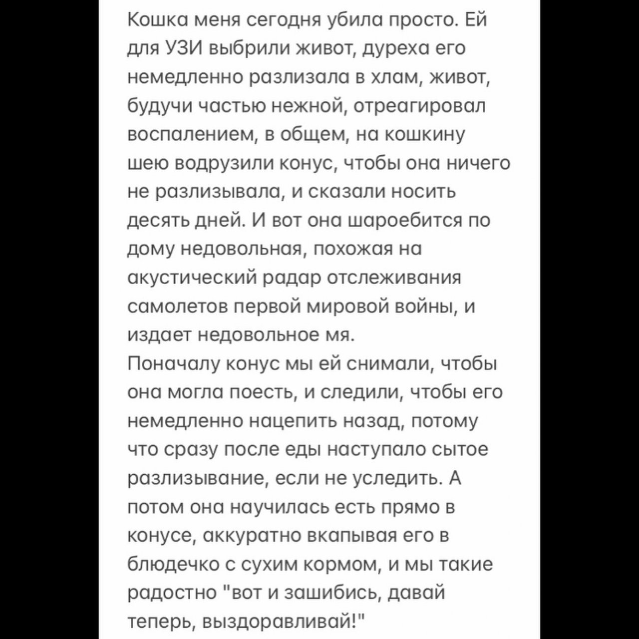 А до спальни кошка шла на задних лапах, чтобы из конуса всё не высыпалось