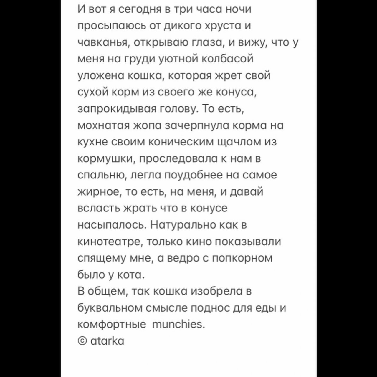 А до спальни кошка шла на задних лапах, чтобы из конуса всё не высыпалось